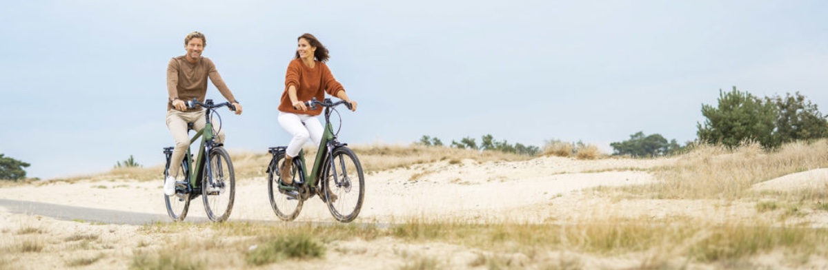 De opkomst van elektrische fietsen